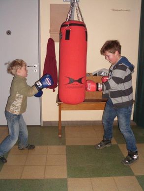 /vereine/forderverein/aktionen-und-anschaffungen/boxsack-fur-die-grundschule/